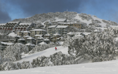 Mt Hotham Header