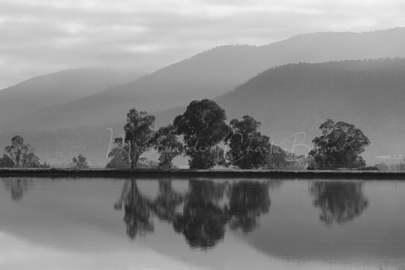 47-Pondage-reflexions