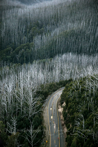 Alpine-ride-Pic-Charlie-Brown