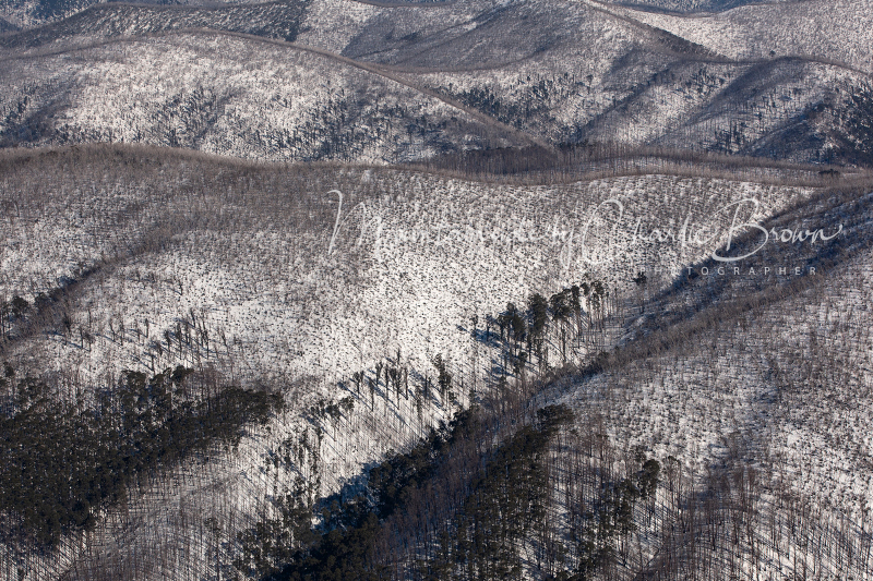 Burnt-Hotham-Hills-Pic-Charlie-Brown
