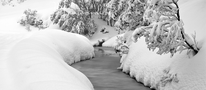 Frozen-Aqueduct-2-Pic-Charlie-Brown