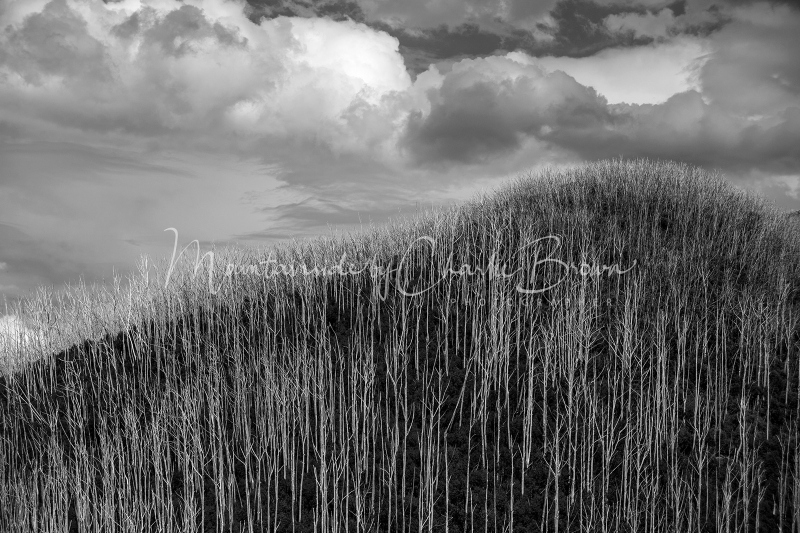 Moody-ridge-3-Pic-Charlie-Brown