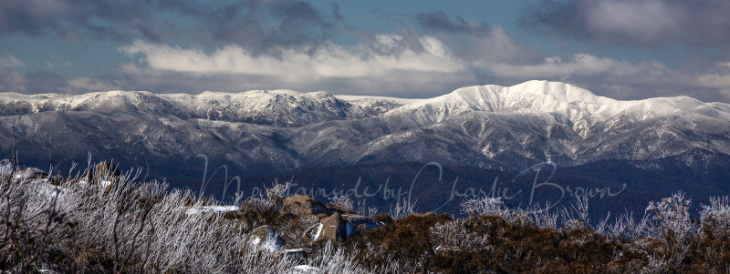 Mt-Feathertop-5-Pic-Charlie-Brown