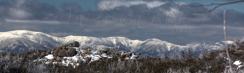 Mt-Hotham-Rd-4-Pic-Charlie-Brown